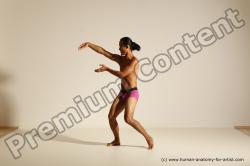 Elmer - Traditional Korean Art